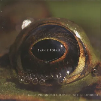 Evan Ziporyn: Frog's Eye by Evan Ziporyn