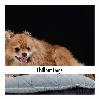 Chillout Dogs by Calming Dog Relaxation