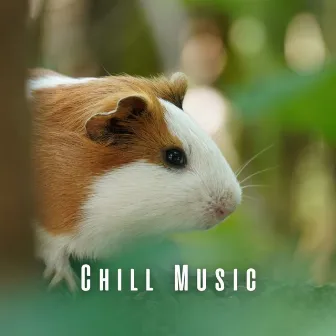 Chill Music: Pets' Soothing Sanctuary by 