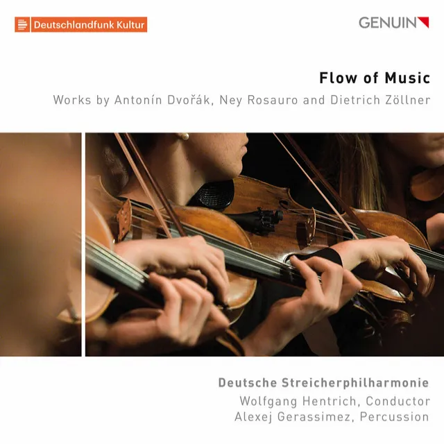 Serenade for Strings in E Major, Op. 22, B. 52: V. Finale. Allegro vivace