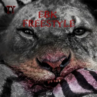 EBK FREESTYLE by LTN TY