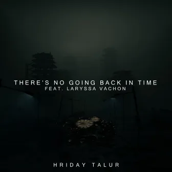 There's No Going Back In Time by Hriday Talur