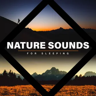 Nature Sounds for Sleeping by The Outdoor Library