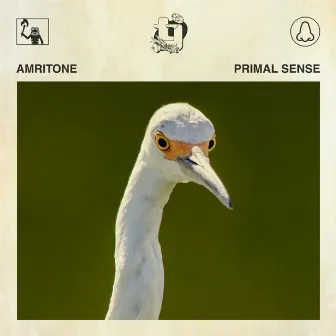 Primal Sense by Amritone