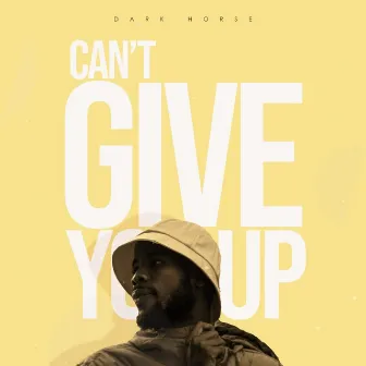 Can't Give You Up by Dark Horse