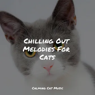 Chilling Out Melodies For Cats by Music for Cats Deluxe