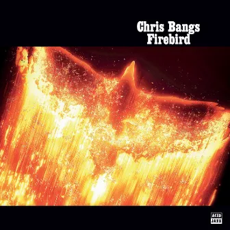 Firebird by Chris Bangs