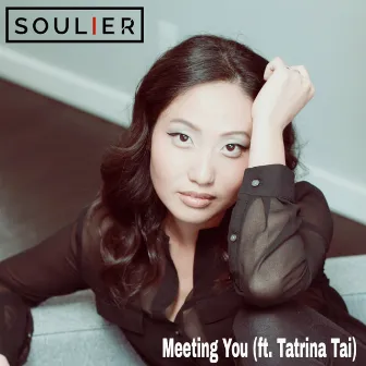 Meeting You by Tatrina Tai