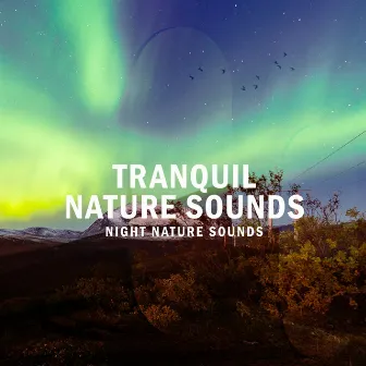 Tranquil Nature Sounds by Night Nature Sounds