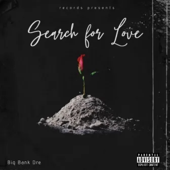 Search for Love by Big Bank Dre