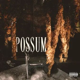 POSSUM by DA CHIEF