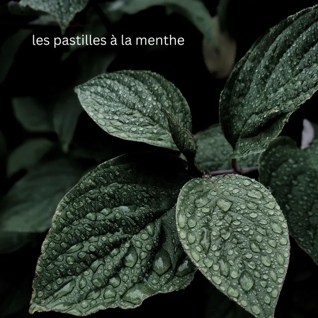 les pastilles à la menthe