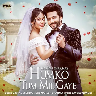 Humko Tum Mil Gaye by Unknown Artist