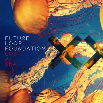 Lost at Sea by Future Loop Foundation