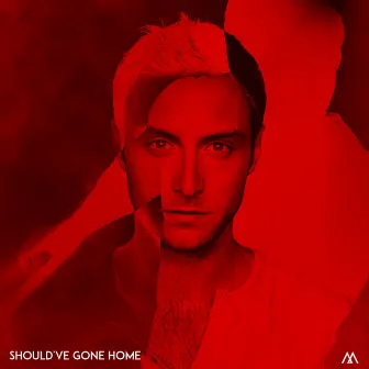 Should've Gone Home by Måns Zelmerlöw