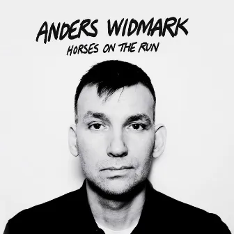 Horses on the Run by Anders Widmark