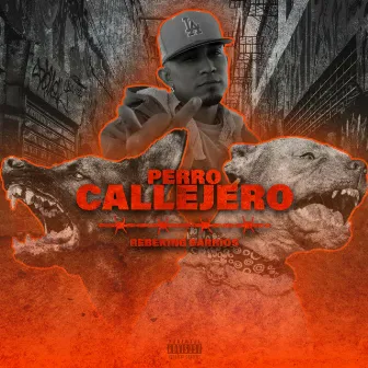 Perro Callejero by ReBeKinG Barrios