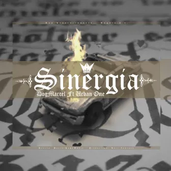 Sinergia. by 