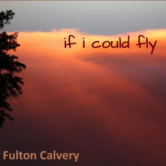 If I Could Fly by Unknown Artist