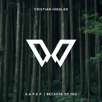 S.A.P.D.F. / Because of You by Cristian Hidalgo