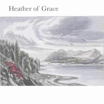 Heather of Grace by Colin Brookes