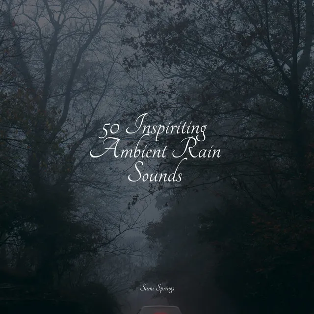 50 Inspiriting Ambient Rain Sounds