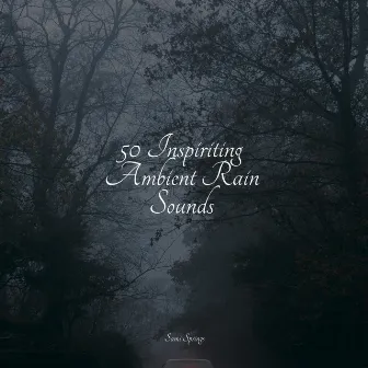 50 Inspiriting Ambient Rain Sounds by Dr. Meditation