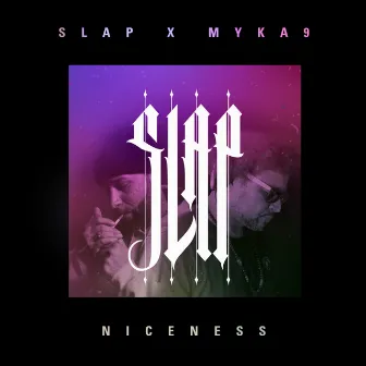 Niceness by S.L.A.P