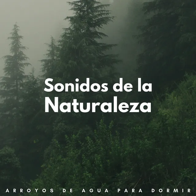 Sonidos De La Naturaleza: Arroyos De Agua Para Dormir