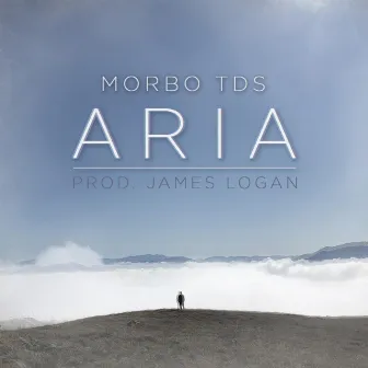 Aria by Morbo TDS