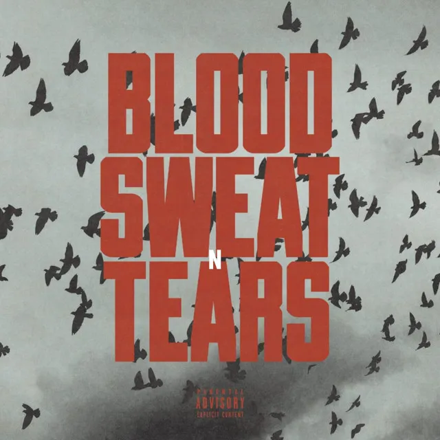 BLOOD SWEAT n TEARS