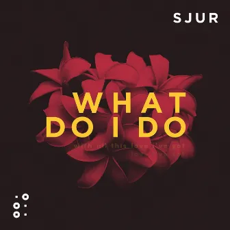 What Do I Do by SJUR