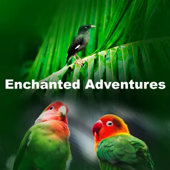 Enchanted Adventures by Beyond North