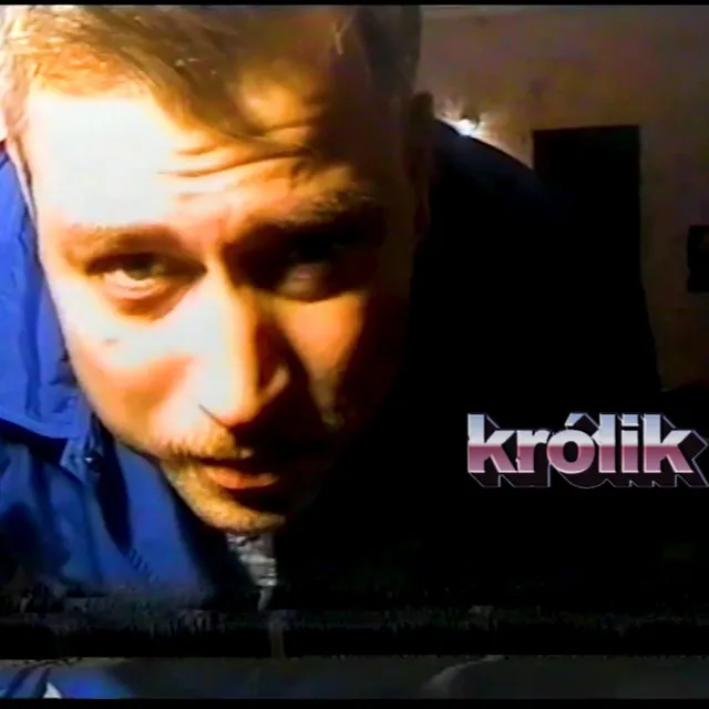 Królik