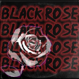 Black Rose by Dxggxrr