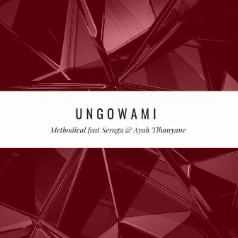 Ungowami by Methodical