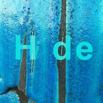 Hide by Young Dutch