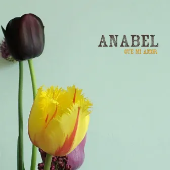 Oye Mi Amor by Anabel