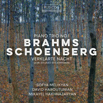 Brahms: Piano Trio No. 1 - Schoenberg: Verklärte Nacht by David Haroutunian