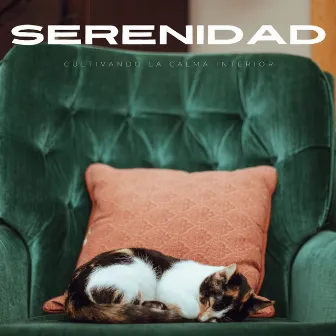 Serenidad En El Refugio De Gatitos: Cultivando La Calma Interior by Música para Gatos Paz