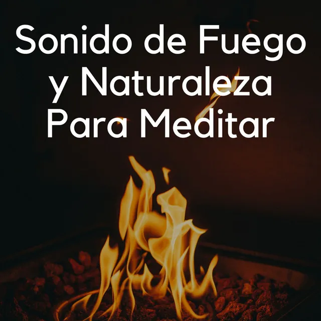 Sonido De Fuego Y Naturaleza Para Meditar