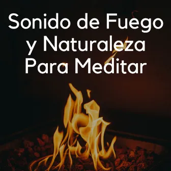 Sonido De Fuego Y Naturaleza Para Meditar by Estudio de efectos de chimenea