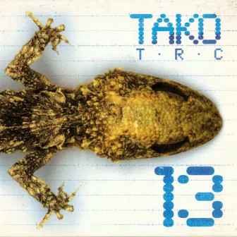 13 by Tako