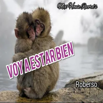 Voy a Estar Bien by Roberso