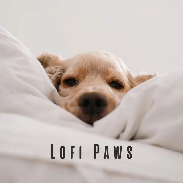 Lofi Paws: Chill Tunes for Happy Dogs