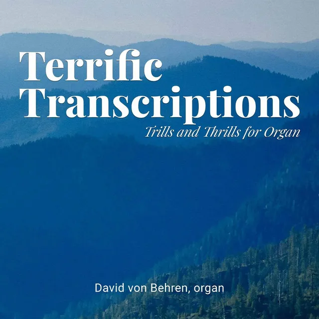 Cantata, BWV 156: "Ich steh mit einem Fuß im Grabe" (Arioso) [transcr. David von Behren for simultaneous violin and organ]