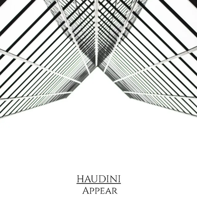 HAUDINI