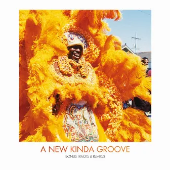 A New Kinda Groove - Bonus Tracks and Remixes by The Wild Magnolias