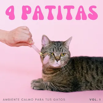 4 Patitas: Ambiente Calmo Ppara Tus Gatos Vol. 1 by Guarida de música de gatos