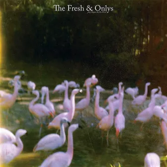 August in My Mind by The Fresh & Onlys